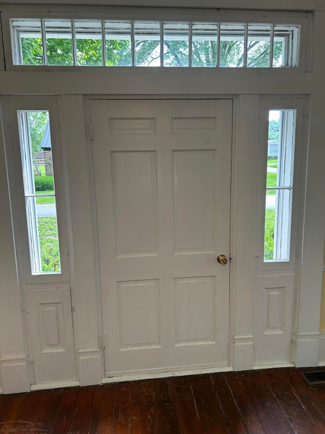 entrance foyer with a wealth of natural light and dark wood-type flooring