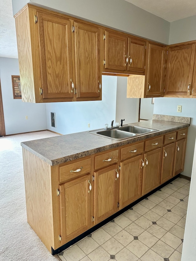 kitchen featuring light colored carpet and sink