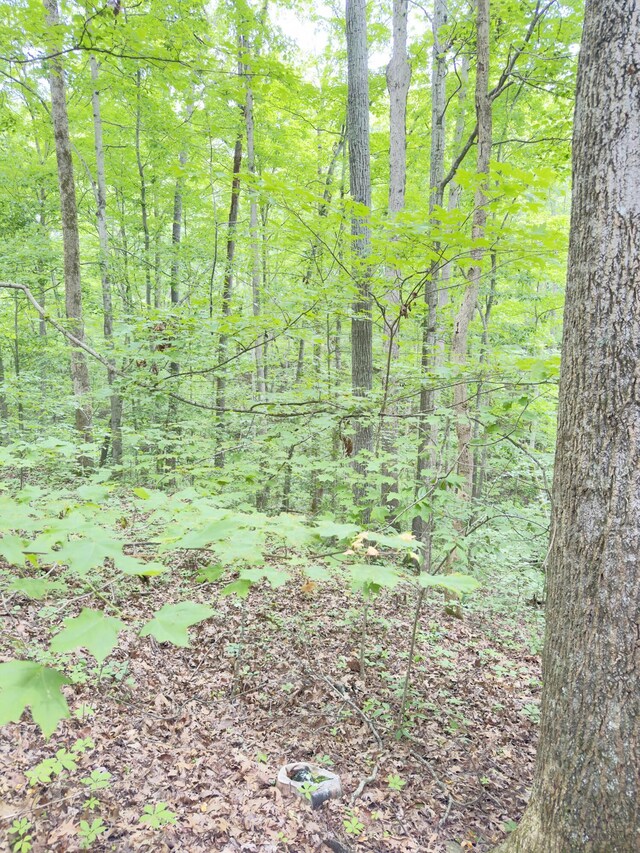10 Valley View Dr, Nancy, KY 42544