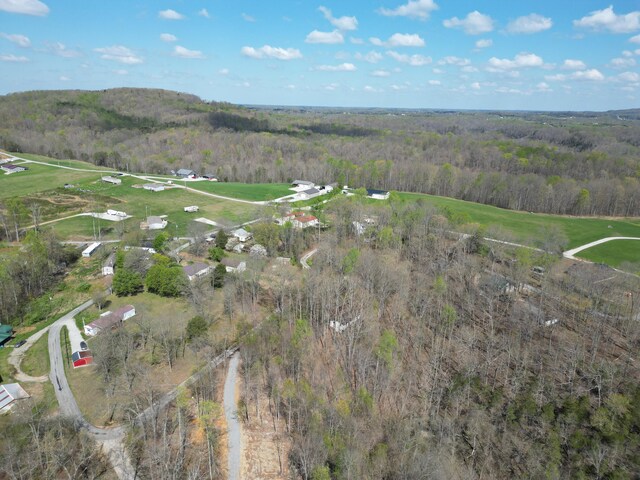 10 Valley View Dr, Nancy, KY 42544