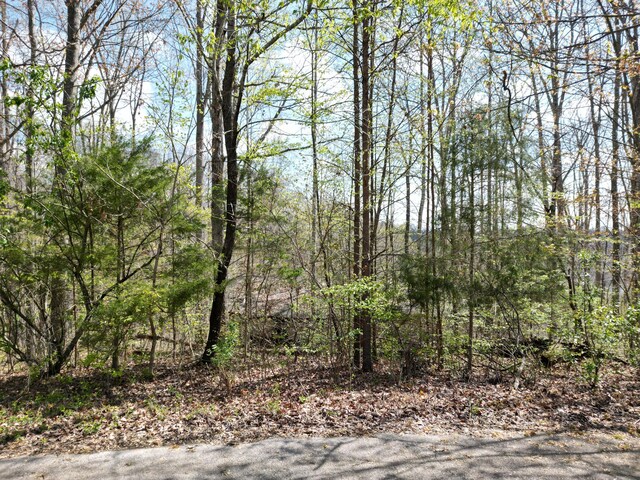 10 Valley View Dr, Nancy, KY 42544