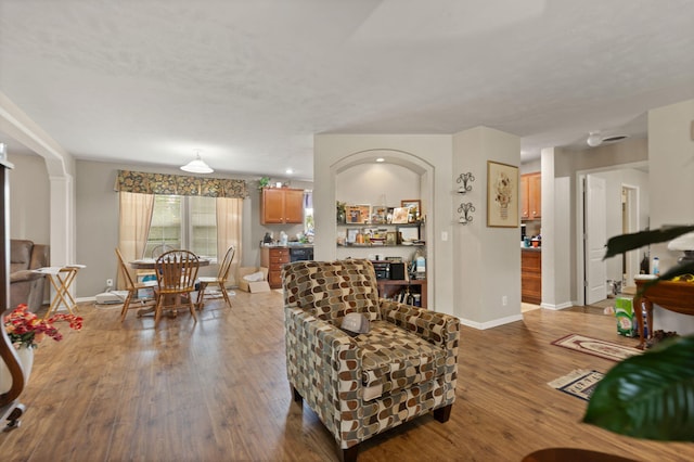 living room with hardwood / wood-style flooring