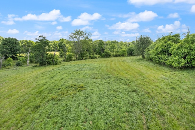 view of yard featuring a rural view