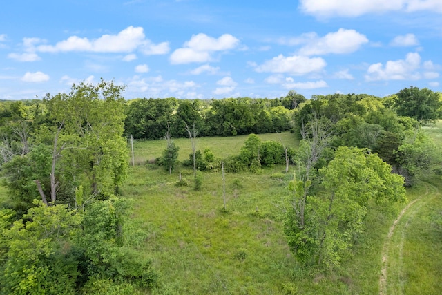 view of landscape featuring a rural view