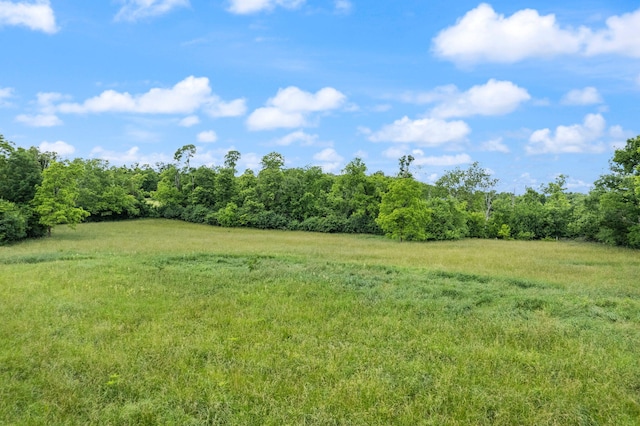 view of yard with a rural view