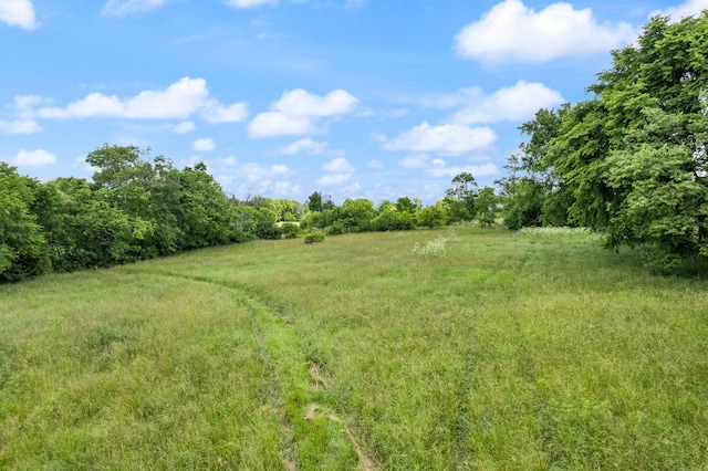 view of landscape with a rural view