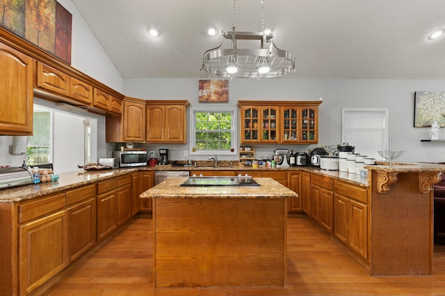 kitchen featuring light hardwood / wood-style flooring, kitchen peninsula, and stainless steel appliances