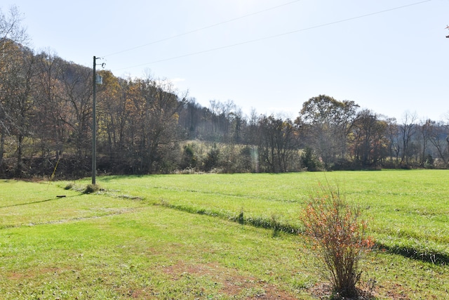 view of yard with a rural view