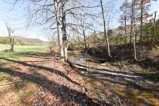 view of yard with a water view