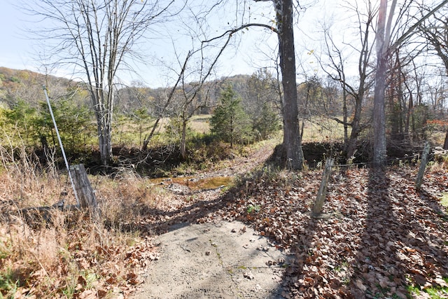 view of road