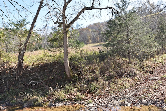 view of local wilderness featuring a water view