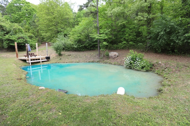 view of swimming pool