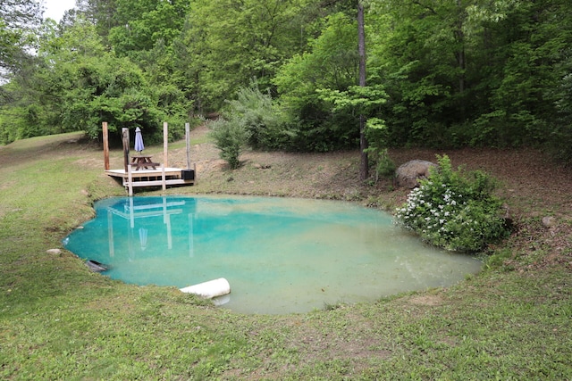 view of swimming pool with a lawn