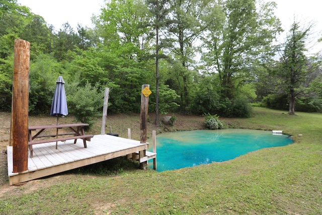 view of swimming pool featuring a yard