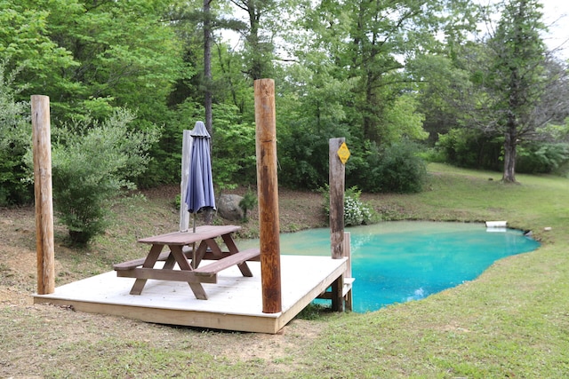 view of swimming pool featuring a lawn