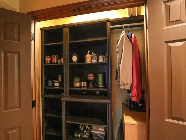 view of closet