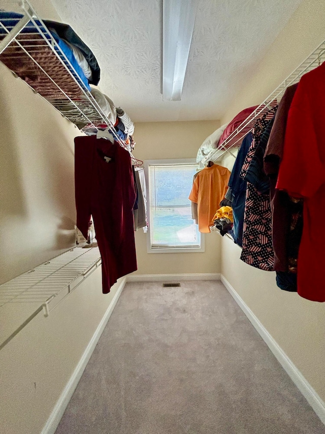 spacious closet with carpet floors