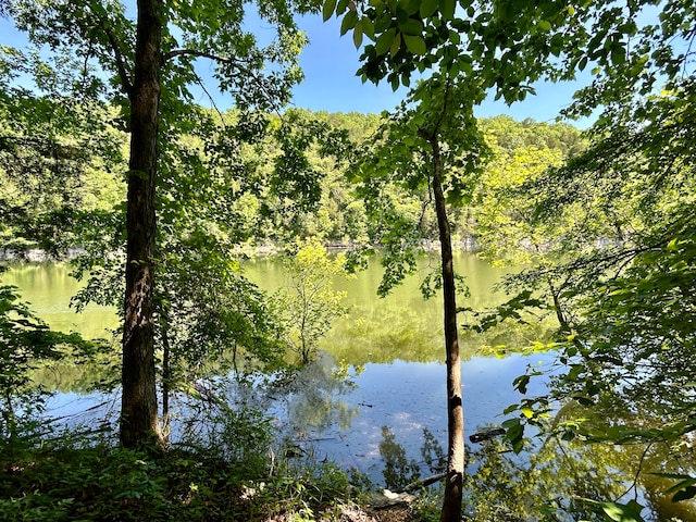 view of property view of water