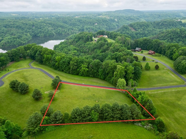 LOT23 Laurel Wood Ln, Nancy KY, 42544 land for sale