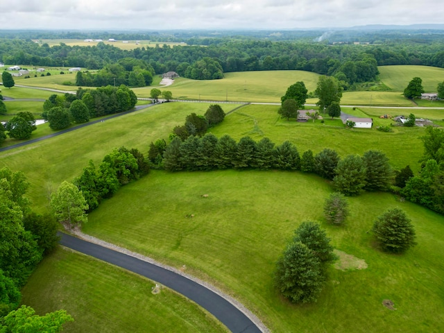 Listing photo 3 for LOT23 Laurel Wood Ln, Nancy KY 42544