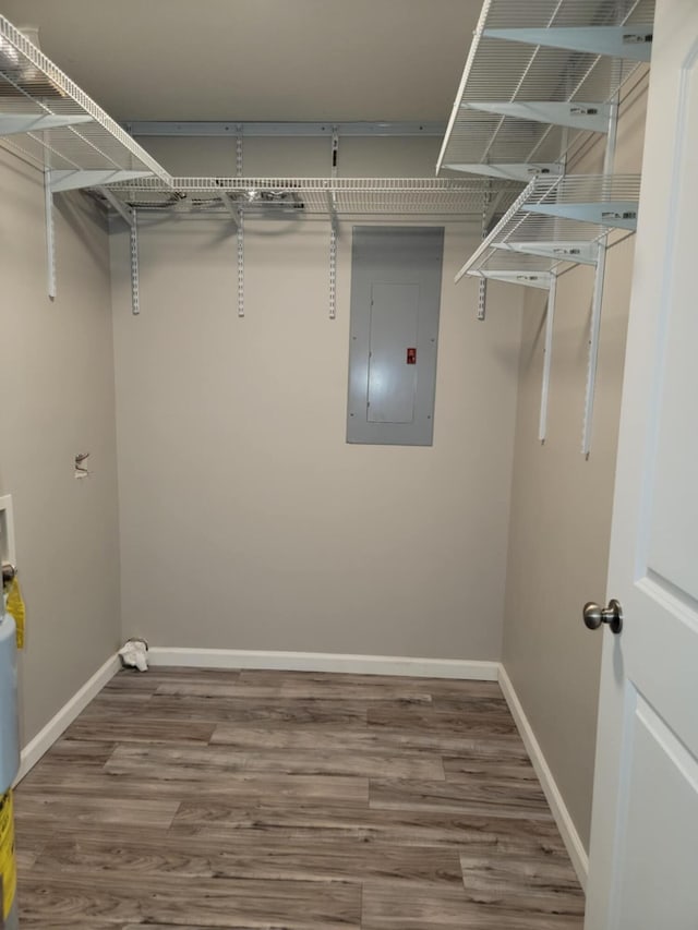 walk in closet featuring electric panel and hardwood / wood-style flooring