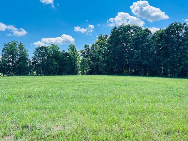 229 Dockery Rd, Russell Springs, KY 42642