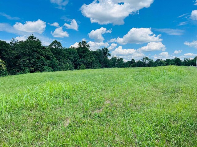 229 Dockery Rd, Russell Springs, KY 42642