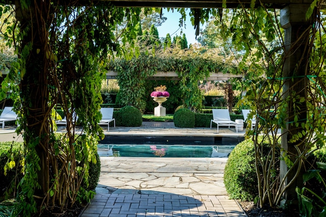 view of pool featuring a patio