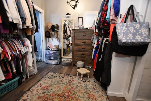 spacious closet with dark hardwood / wood-style flooring