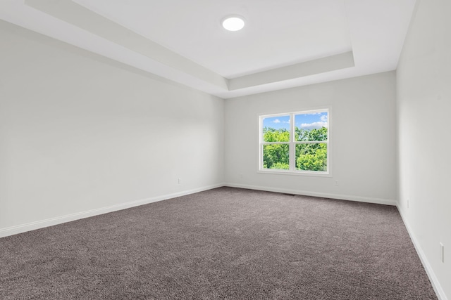 empty room featuring a tray ceiling and carpet