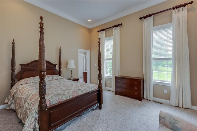 bedroom featuring carpet