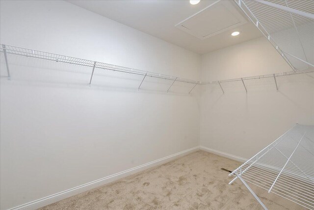 walk in closet with carpet flooring