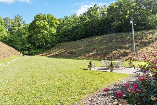 view of yard with a patio