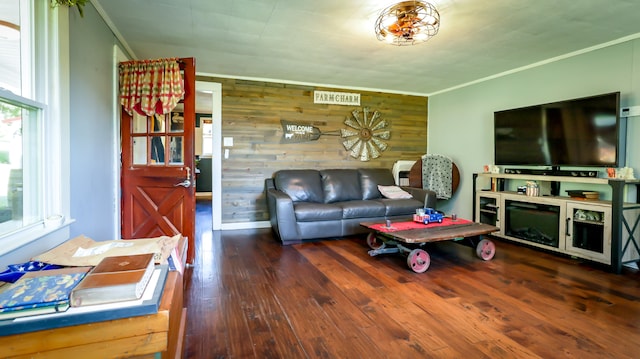 living room featuring wood walls, dark wood-type flooring, and ornamental molding