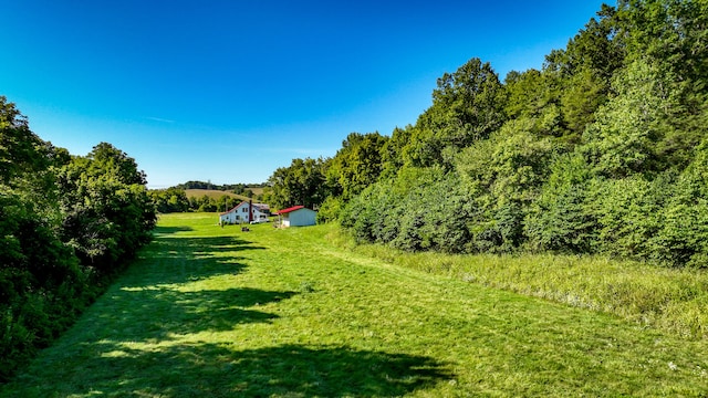 view of yard featuring a rural view