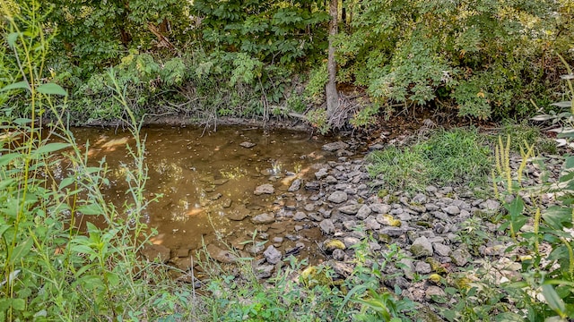 view of nature featuring a water view