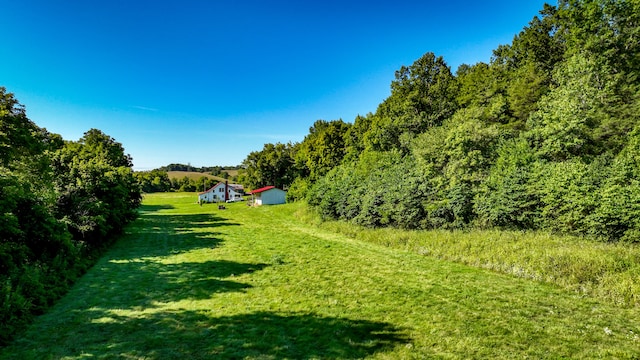 view of yard featuring a rural view