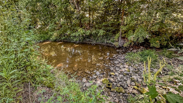 view of local wilderness with a water view