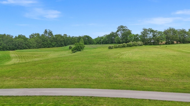 105 Pemberley Cove Ln, Georgetown, KY 40324
