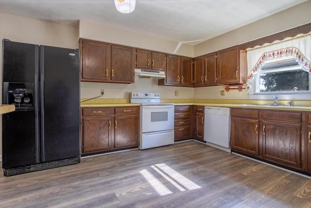 kitchen with dark hardwood / wood-style flooring, white appliances, a textured ceiling, and sink