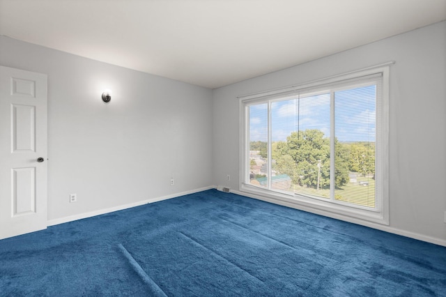 spare room featuring carpet floors