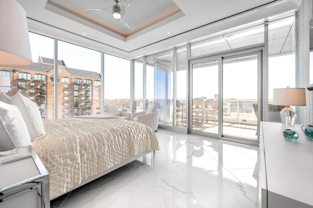 bedroom featuring multiple windows and a raised ceiling