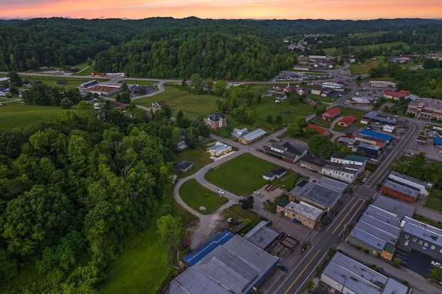 79 Washington St, Campton, KY 41301 - aerial view at dusk of a forest view