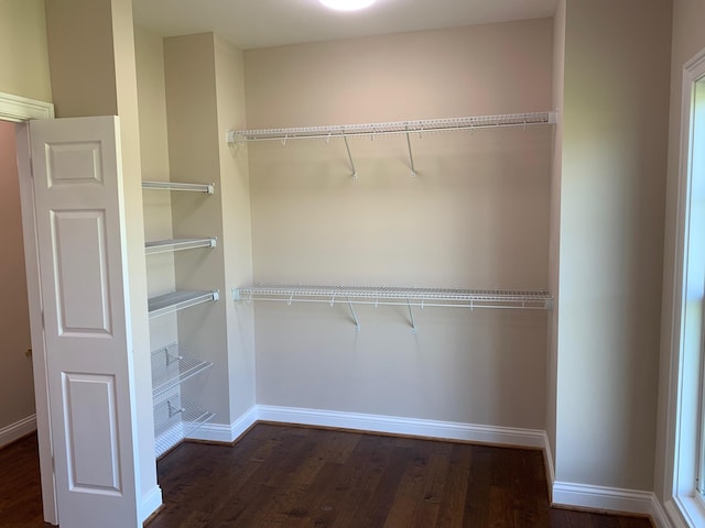 view of closet