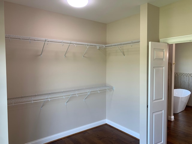 walk in closet featuring dark hardwood / wood-style floors