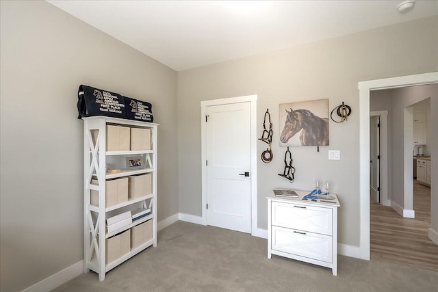 interior space with light colored carpet