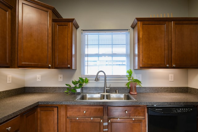 kitchen with black dishwasher and sink