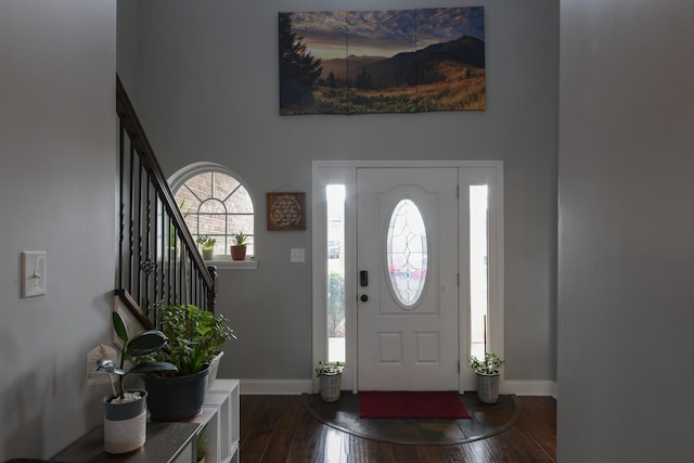 entrance foyer with a wealth of natural light and hardwood / wood-style flooring