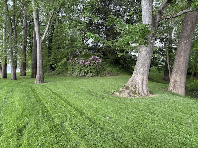 1023 Riverside Dr, Greenup, KY 41144 - view of grassy yard