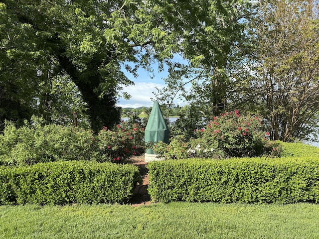 1023 Riverside Dr, Greenup, KY 41144 - view of yard